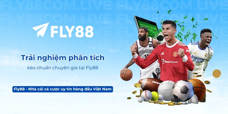 Trải nghiệm phân tích kèo chuẩn chuyên gia tại Fly88